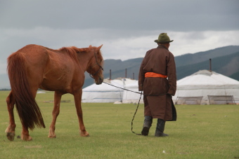 Vie quotidienne des nomades de Mongolie : &eacute;levage traditionnel nomade, nourriture, r&eacute;partition des t&acirc;ches - Randocheval Mongolie