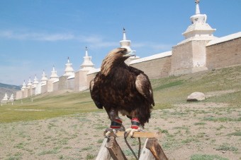 Comment prendre de belles photos en Mongolie : paysages, portraits de nomades mongols, comment prendre des photos en &eacute;tant &agrave; cheval, cadrage, astuces techniques, conseils pratiques, appareil photo compact ou reflex... - Randocheval Mongolie / Absolu Voyages