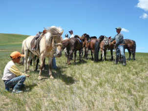 Comment bien choisir son voyage en Mongolie : randonn&eacute;e &agrave; cheval ou voyage en 4x4, en bivouac sous la tente ou sous la yourte, chez une famille nomade, quand partir, quelles r&eacute;gions visiter... - Randocheval Mongolie