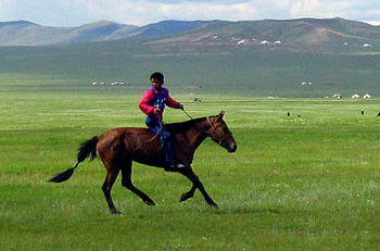 F&ecirc;te de Naadam en Mongolie - courses de chevaux, lutte mongole, tir &agrave; l'arc, &agrave; Oulan Bator et en Province - Randocheval Mongolie / Absolu Voyages