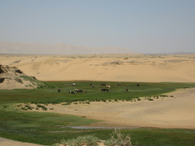 Pourquoi choisir Randocheval Mongolie : souplesse et qualit&eacute; d'une agence locale mongole francophone et service et garanties d'une agence de voyages fran&ccedil;aise - Randocheval Mongolie, structure locale de Randocheval et Absolu Voyages