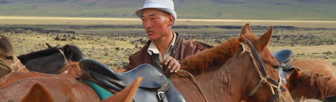 Vie quotidienne des nomades de Mongolie : &eacute;levage traditionnel nomade, nourriture, r&eacute;partition des t&acirc;ches - Randocheval Mongolie