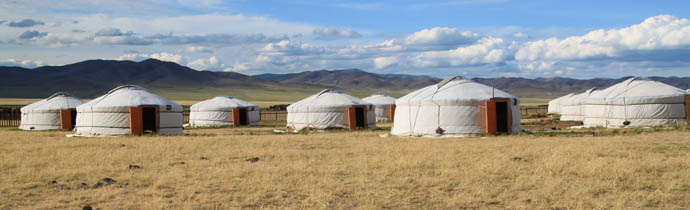 Randocheval Mongolie