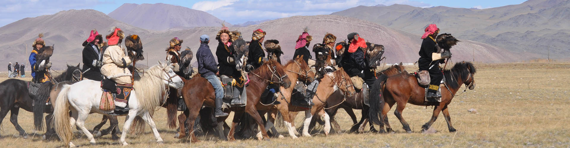 Rando Cheval Mongolie