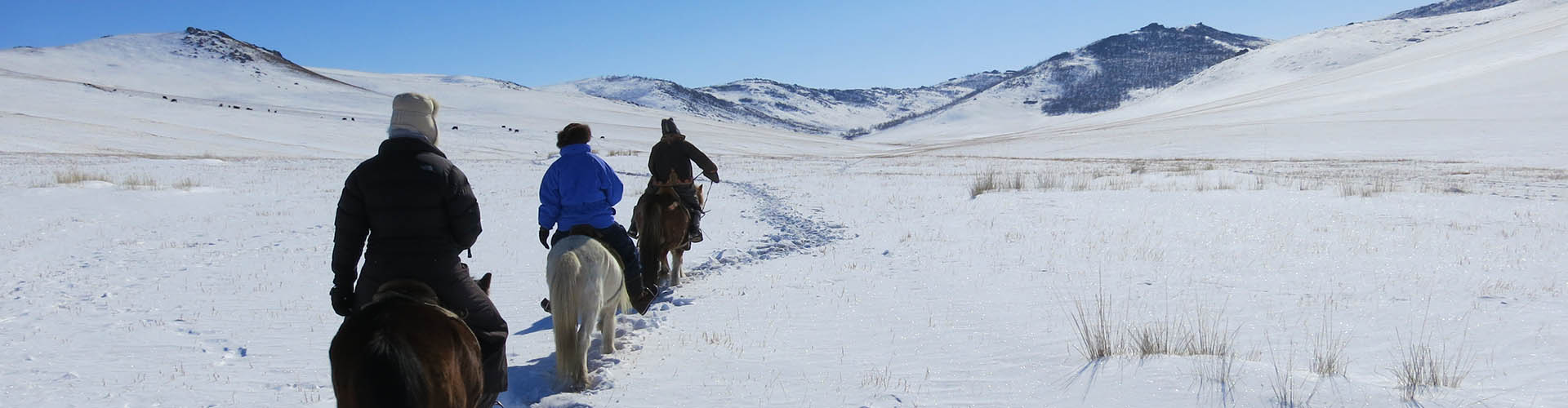 Rando Cheval Mongolie