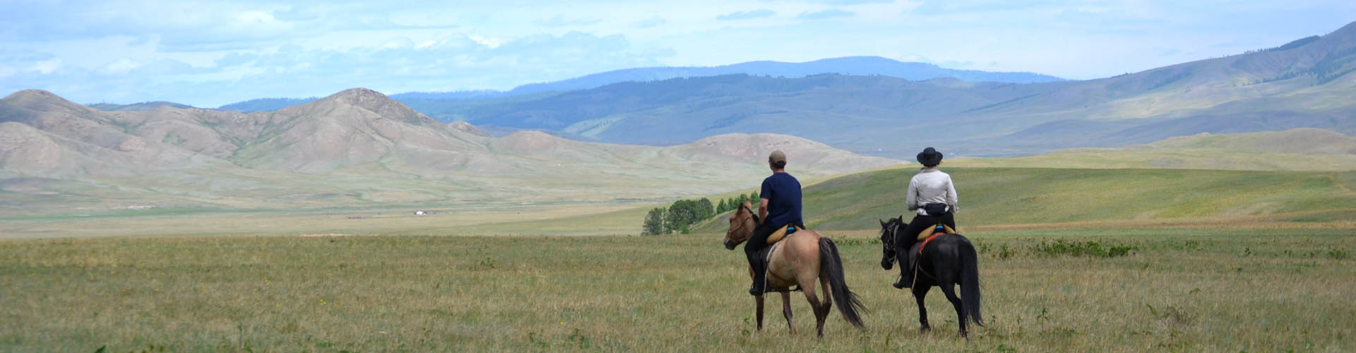 Rando Cheval Mongolie