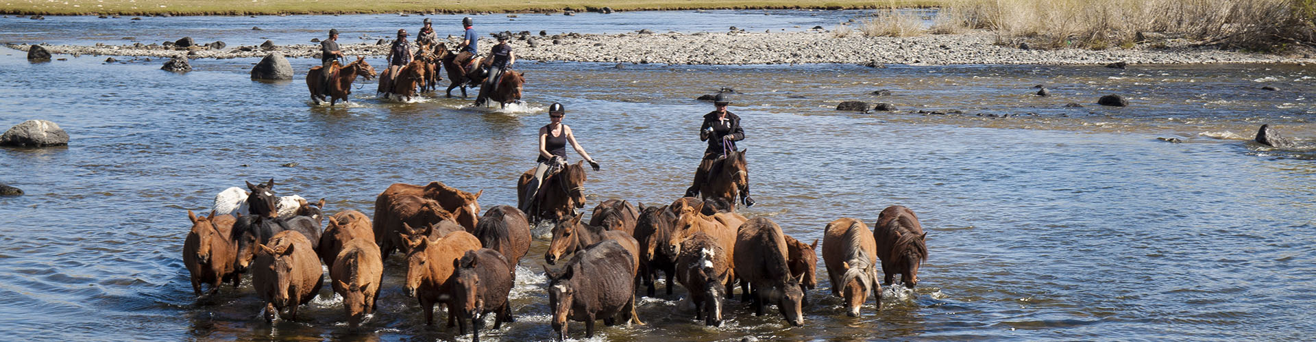 Rando Cheval Mongolie - Voyage, trek et randonnée équestre