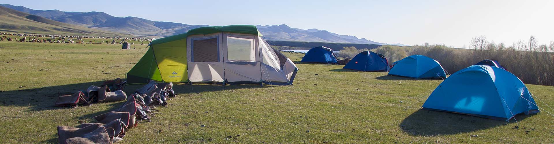 Rando Cheval Mongolie