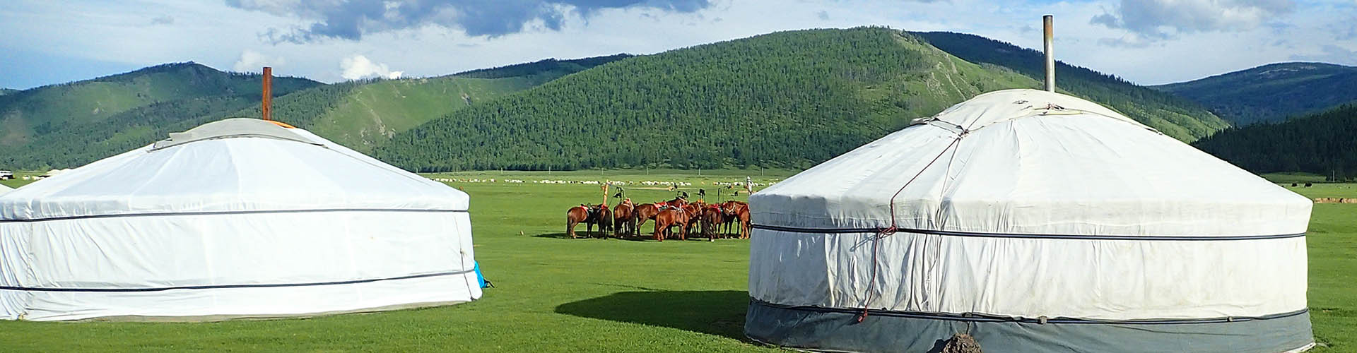 Rando Cheval Mongolie - Voyage, trek et randonnée équestre