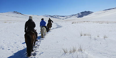 Rando Cheval Mongolie