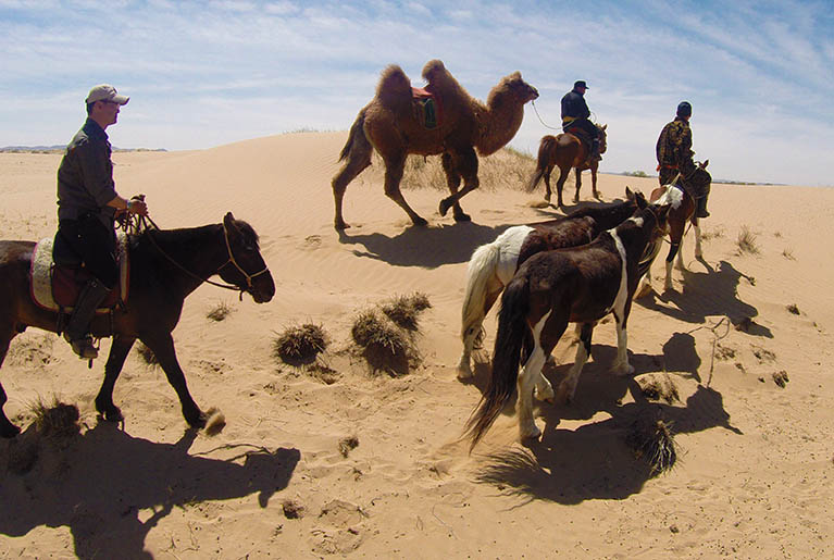 Rando Cheval Mongolie