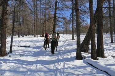 Rando Cheval Mongolie - Voyage, trekking et randonnée