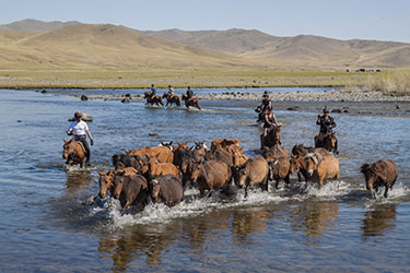 Rando Cheval Mongolie - Voyage, trekking et randonnée