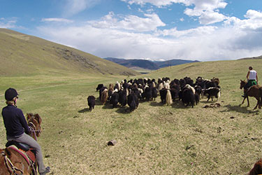 Rando Cheval Mongolie - Voyage, trekking et randonnée