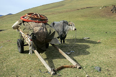 Rando Cheval Mongolie - Voyage, trekking et randonnée