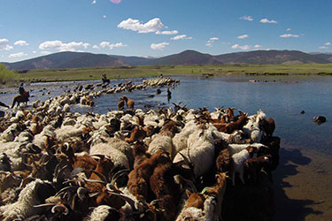 Rando Cheval Mongolie - Voyage, trekking et randonnée