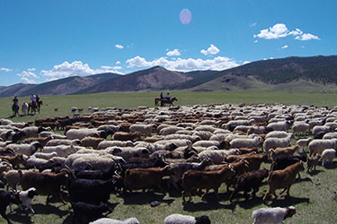 Rando Cheval Mongolie - Voyage, trekking et randonnée