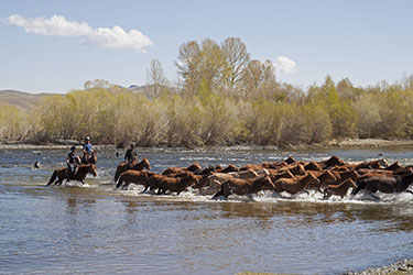 Rando Cheval Mongolie - Voyage, trekking et randonnée