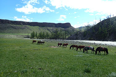 Rando Cheval Mongolie - Voyage, trekking et randonnée