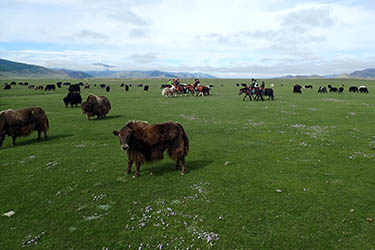 Rando Cheval Mongolie - Voyage, trekking et randonnée