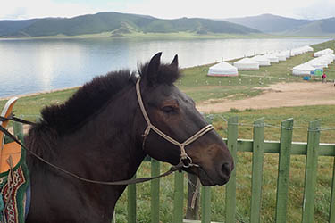 Rando Cheval Mongolie - Voyage, trekking et randonnée