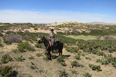 Rando Cheval Mongolie - Voyage, trekking et randonnée