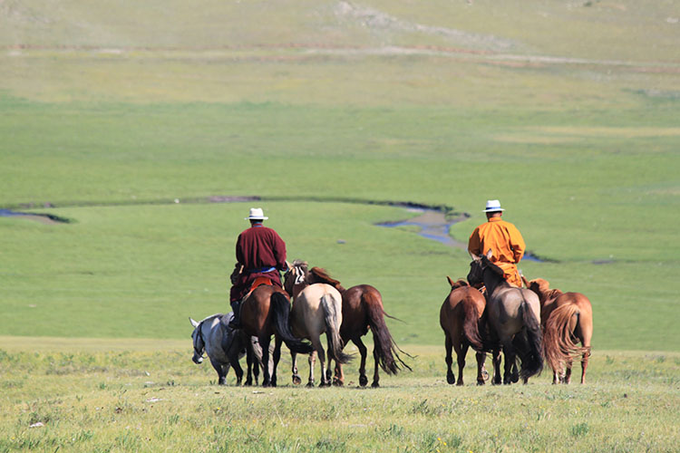 Rando Cheval Mongolie - Voyage équestre Premium de luxe