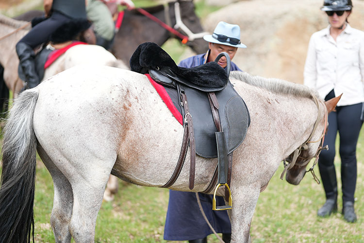 Rando Cheval Mongolie - Voyage équestre Premium de luxe